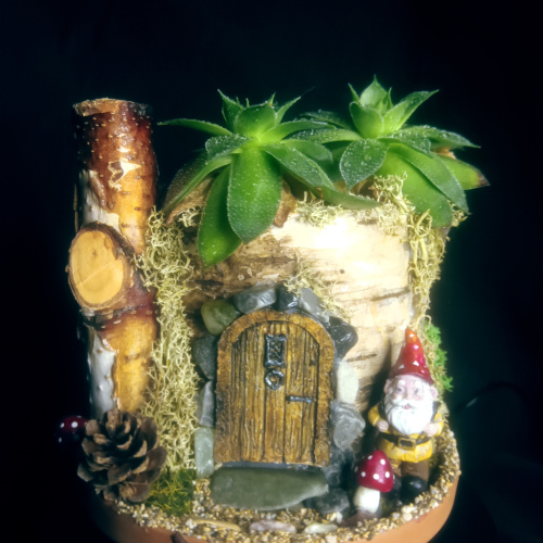 Gnome House live Plant #1