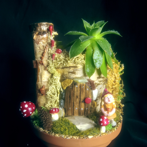 Gnome House live Plant #2